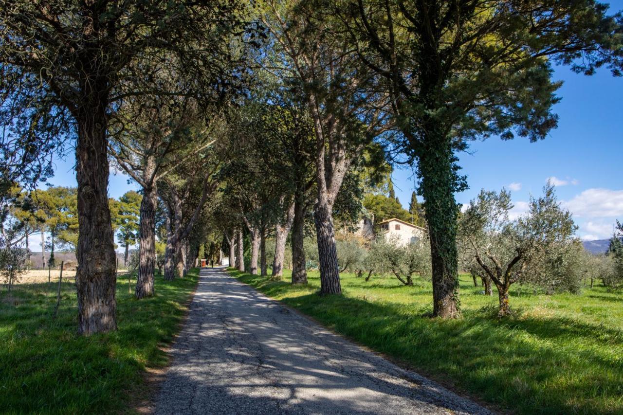 فندق Borgo Petroro تودي المظهر الخارجي الصورة